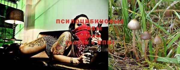 Альфа ПВП Строитель