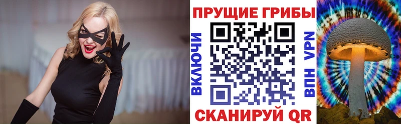 Купить закладки  Новороссийск  Галлюциногенные грибы GOLDEN TEACHER 